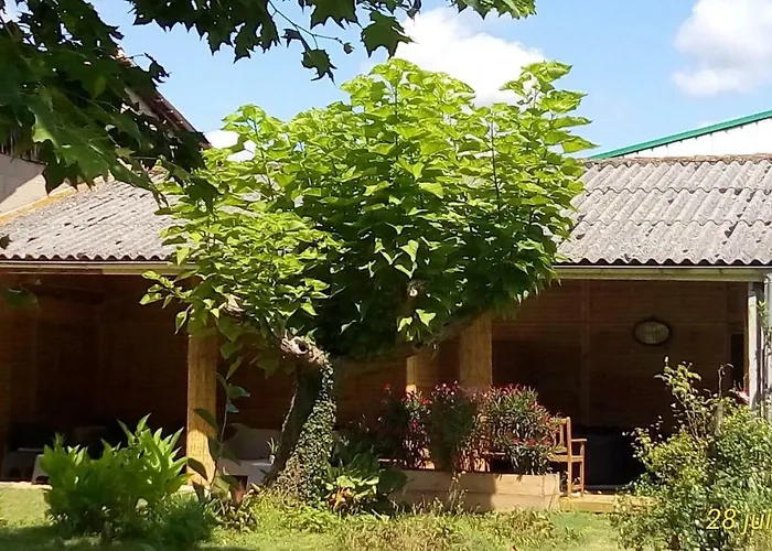 Montplaisir Bed and Breakfast Montendre